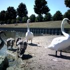 Gustav und Familie