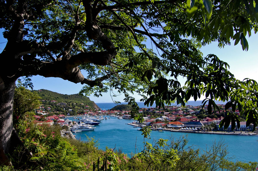 gustavia