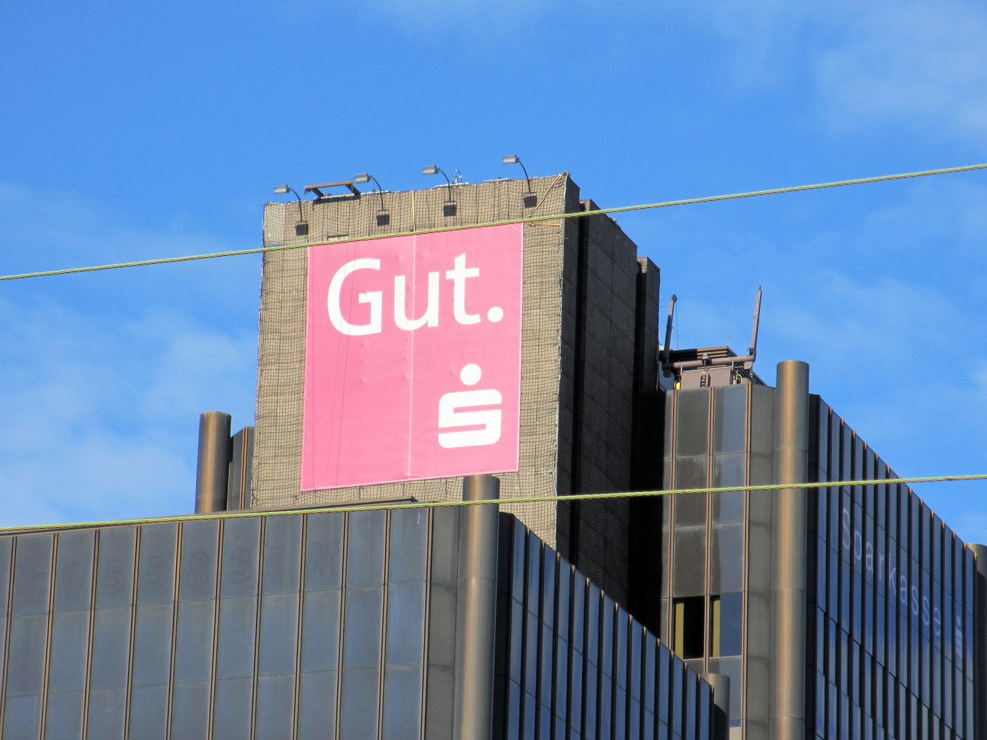 Gut