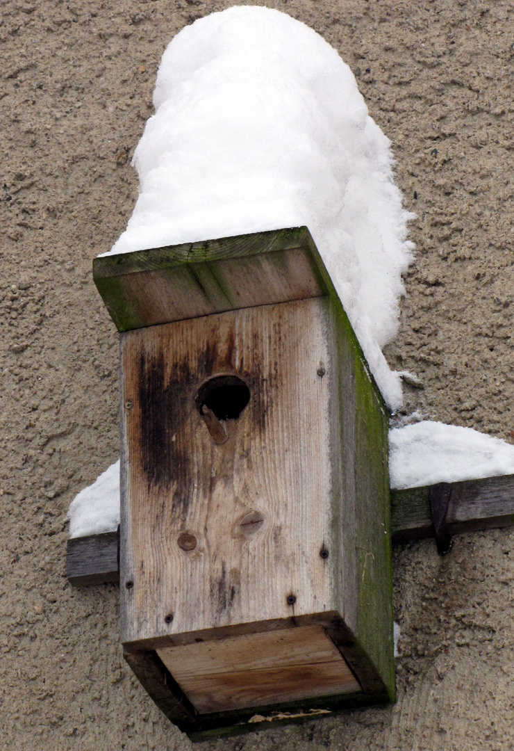 "Gut behütet durch den kalten Winter"