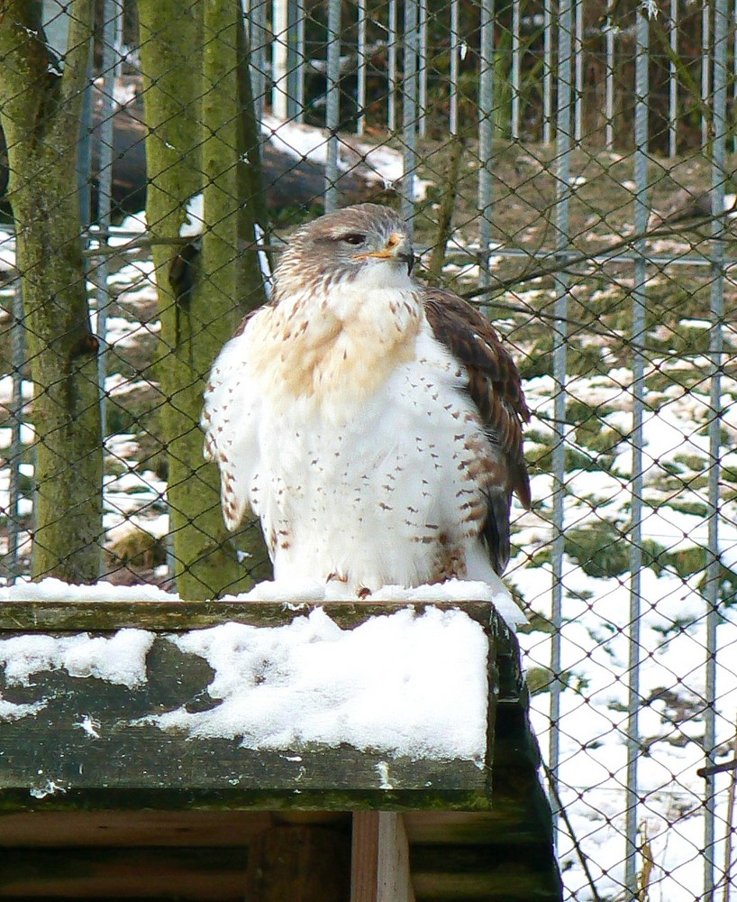 gut eingepackt für den Winter