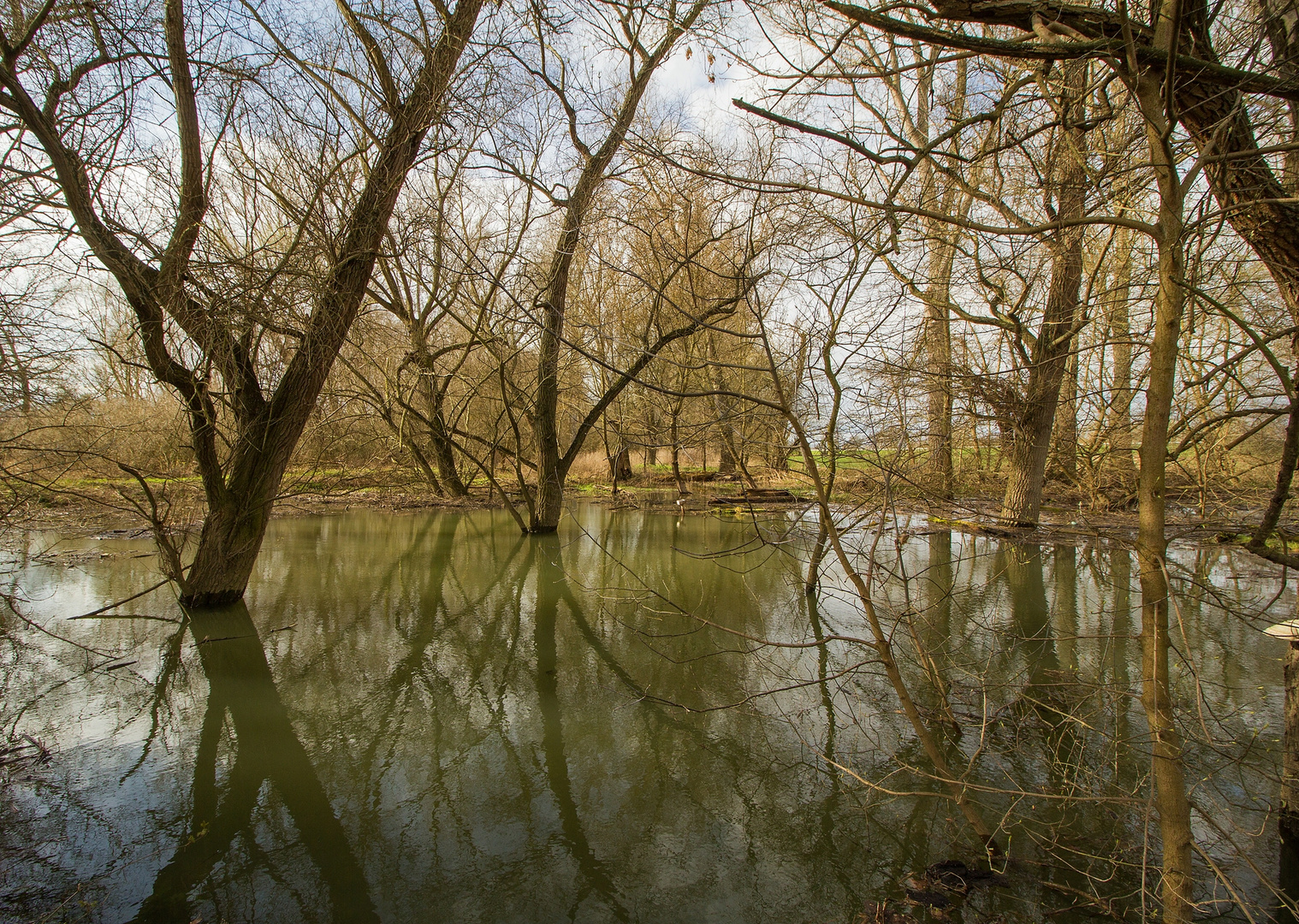 gut gefüllte Rheinauen