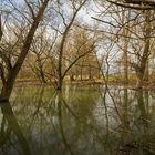 gut gefüllte Rheinauen