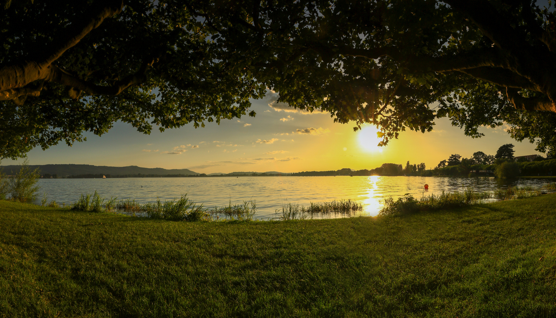 Gut gefüllter Bodensee