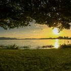 Gut gefüllter Bodensee