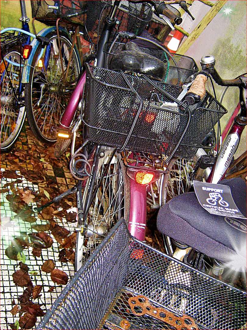 ‚kritische masse') ist ein trend in vielen städten der welt, bei der sich radfahrerinnen scheinbar zufällig und unorganisiert treffen, um mit hamburg criticalmass. Critical Mass Hamburg Twitter . Gut Gelaunt nach 2016 - Critical Mass "Hamburg" Foto ...
