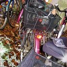 Gut Gelaunt nach 2016 - Critical Mass "Hamburg"