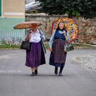 Gut gelaunte Landlerfrauen in Grosspold