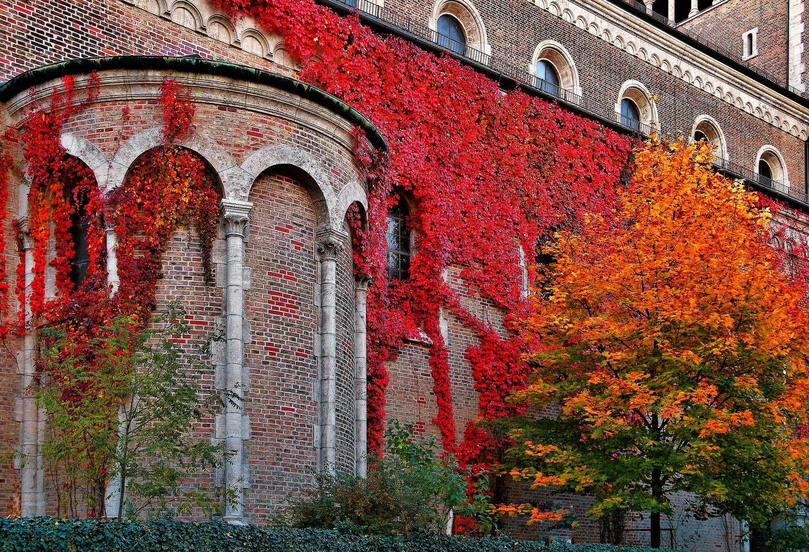 Gut gemacht lieber Herbst !