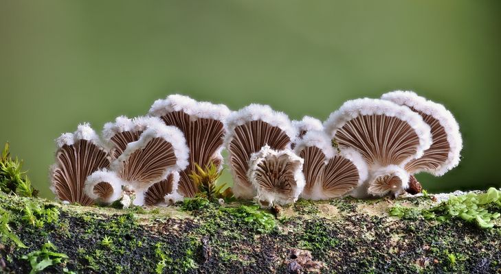 Gut gerüstet für kältere Tage