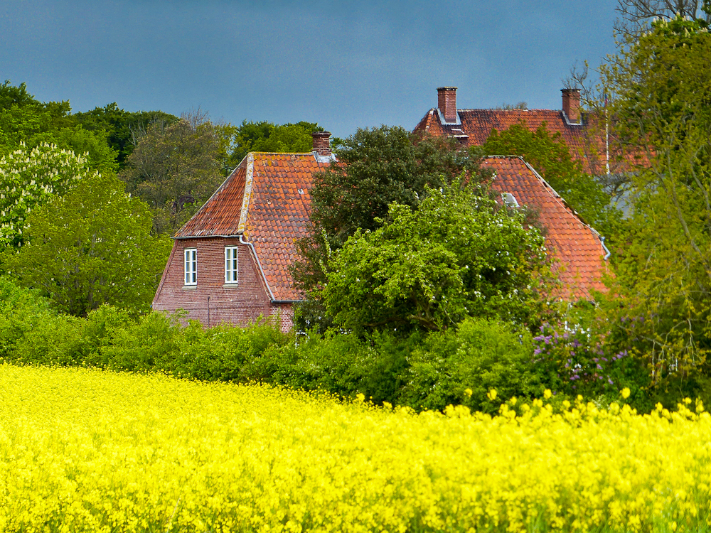 Gut Grünholz