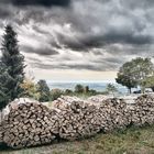 Gut Holz vor d Hütten