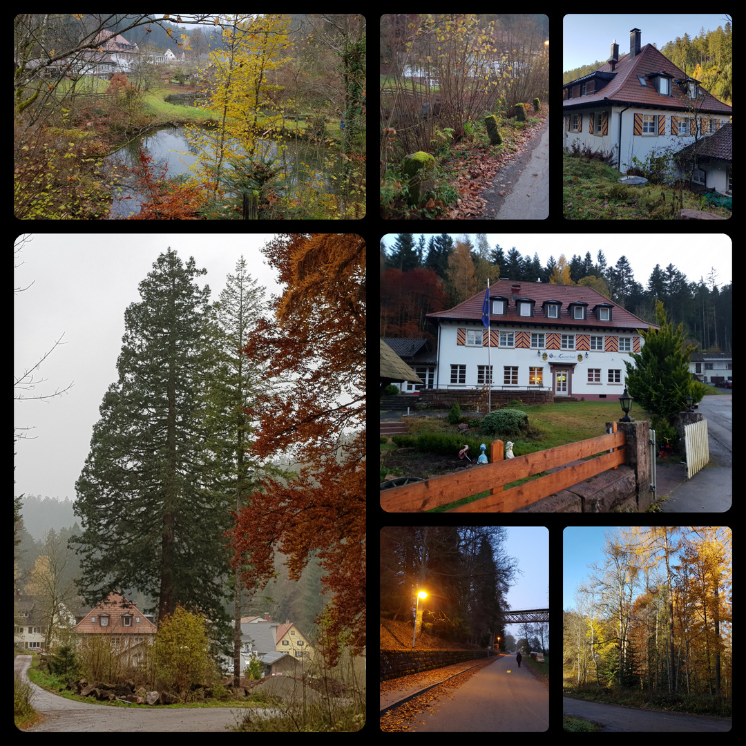 Gut Lauterbad bei Freudenstadt