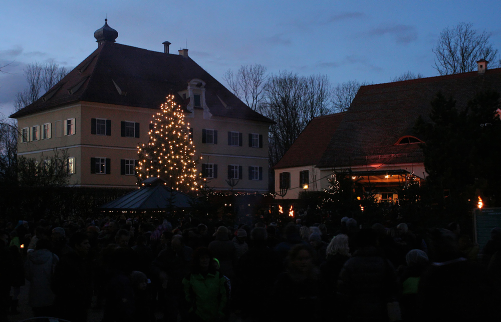 Gut Mergenthau: Waldweihnacht (2)