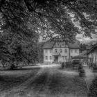 Gut Redingerhof - Sommer 2012 - HDR - B/W