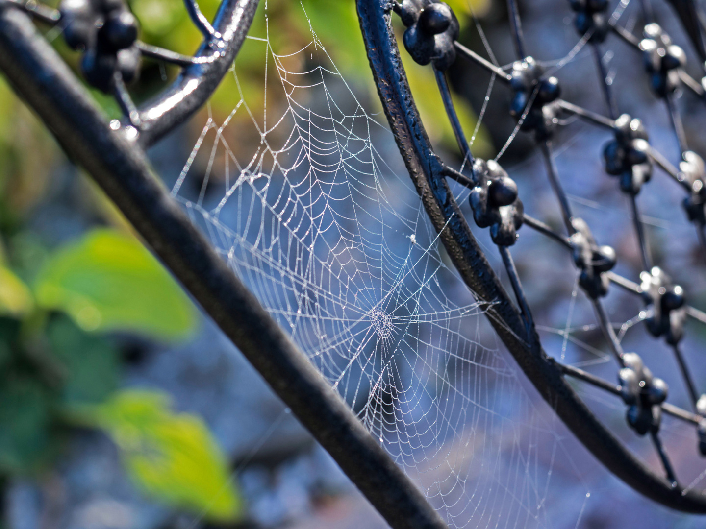 Gut vernetzt im Gartenstuhl