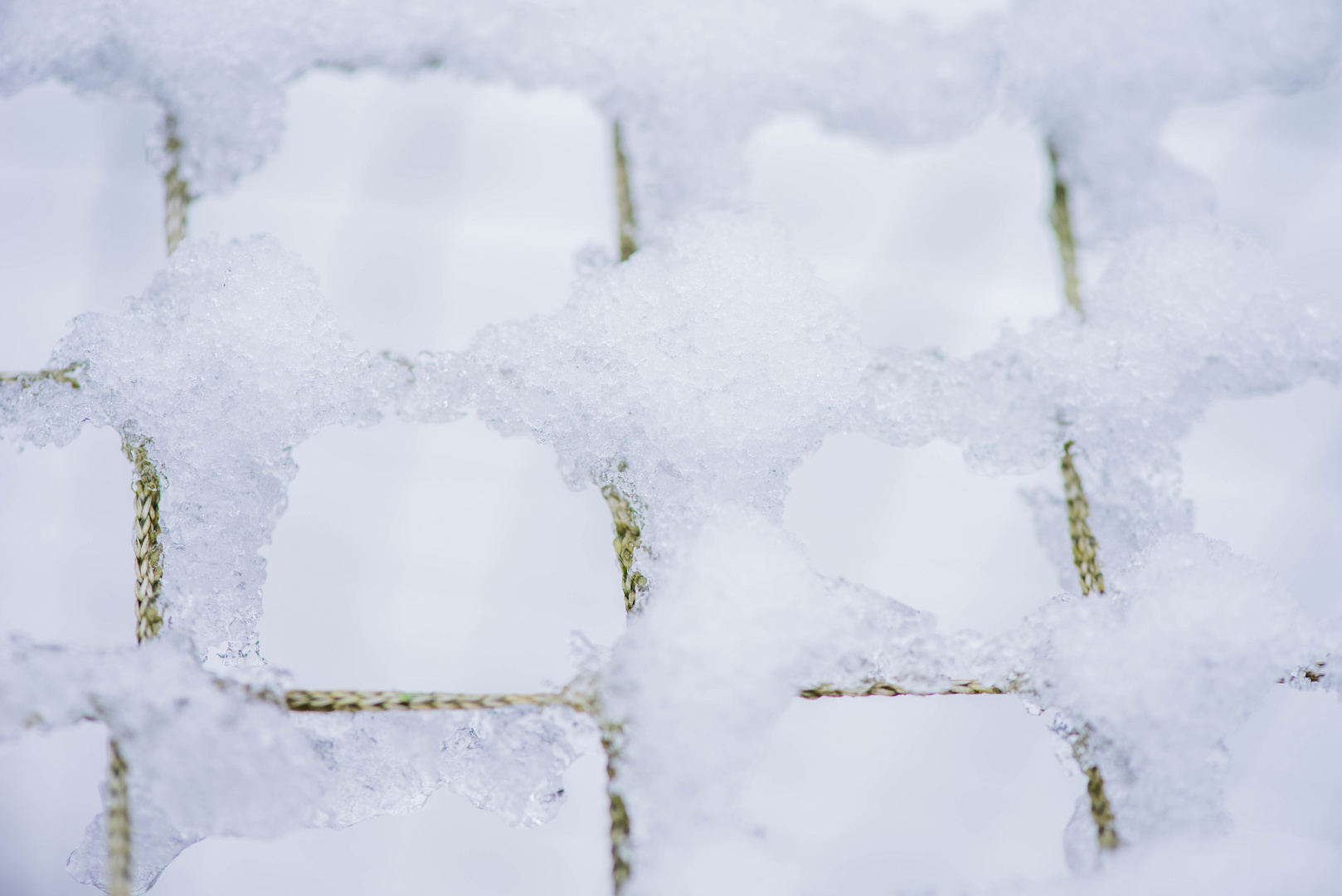 Gut verpackt im Schnee