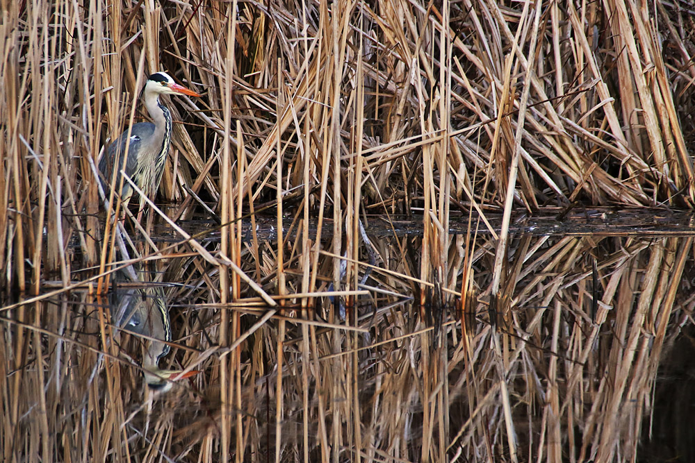 gut versteckt