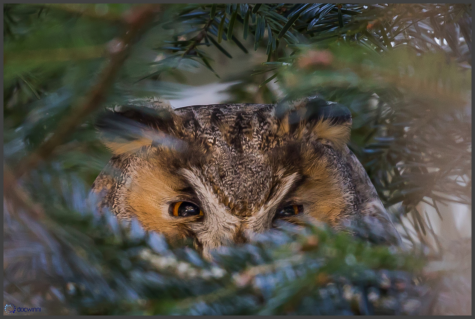 Versteckt Versteckt