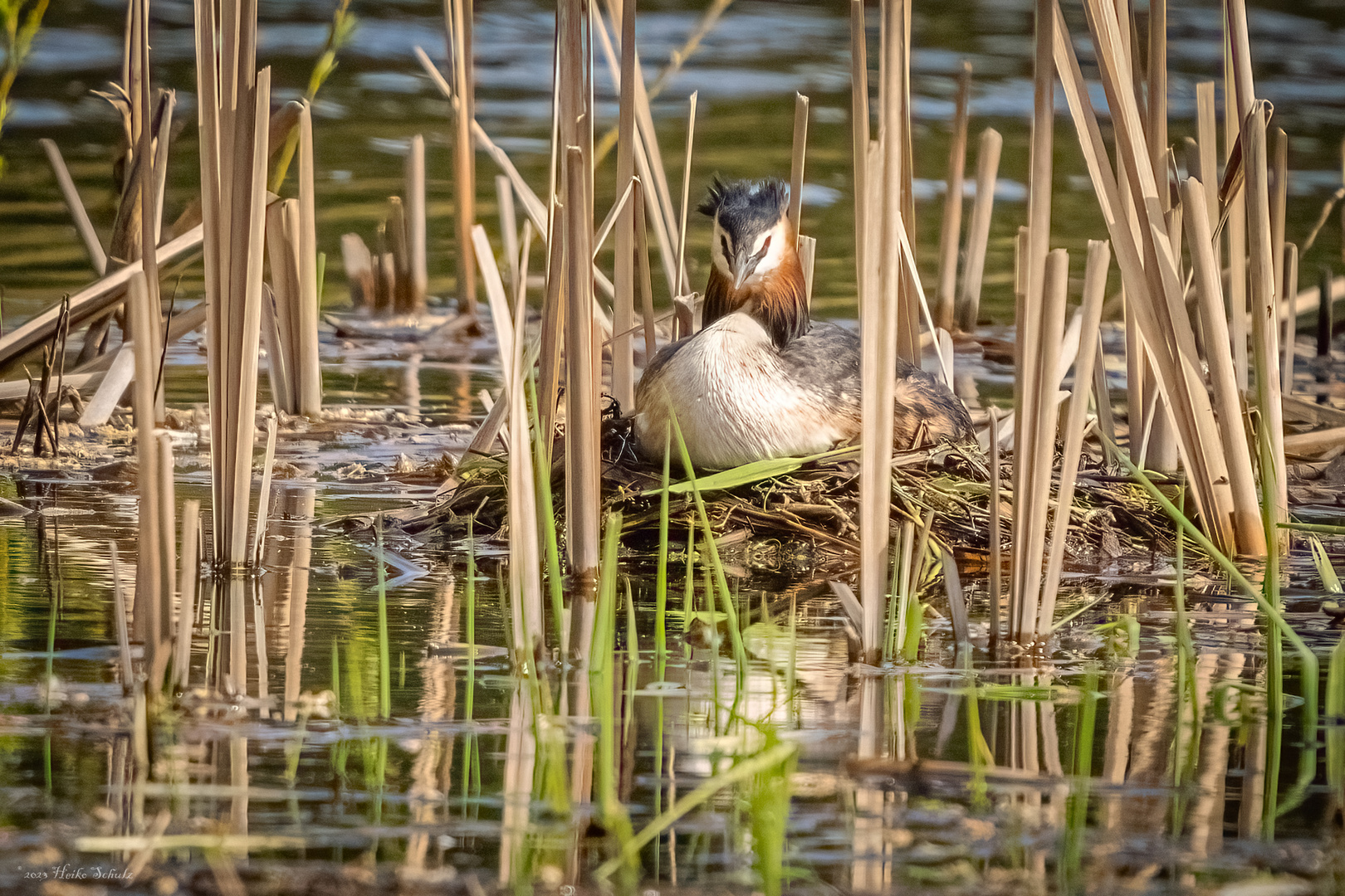 Gut versteckt