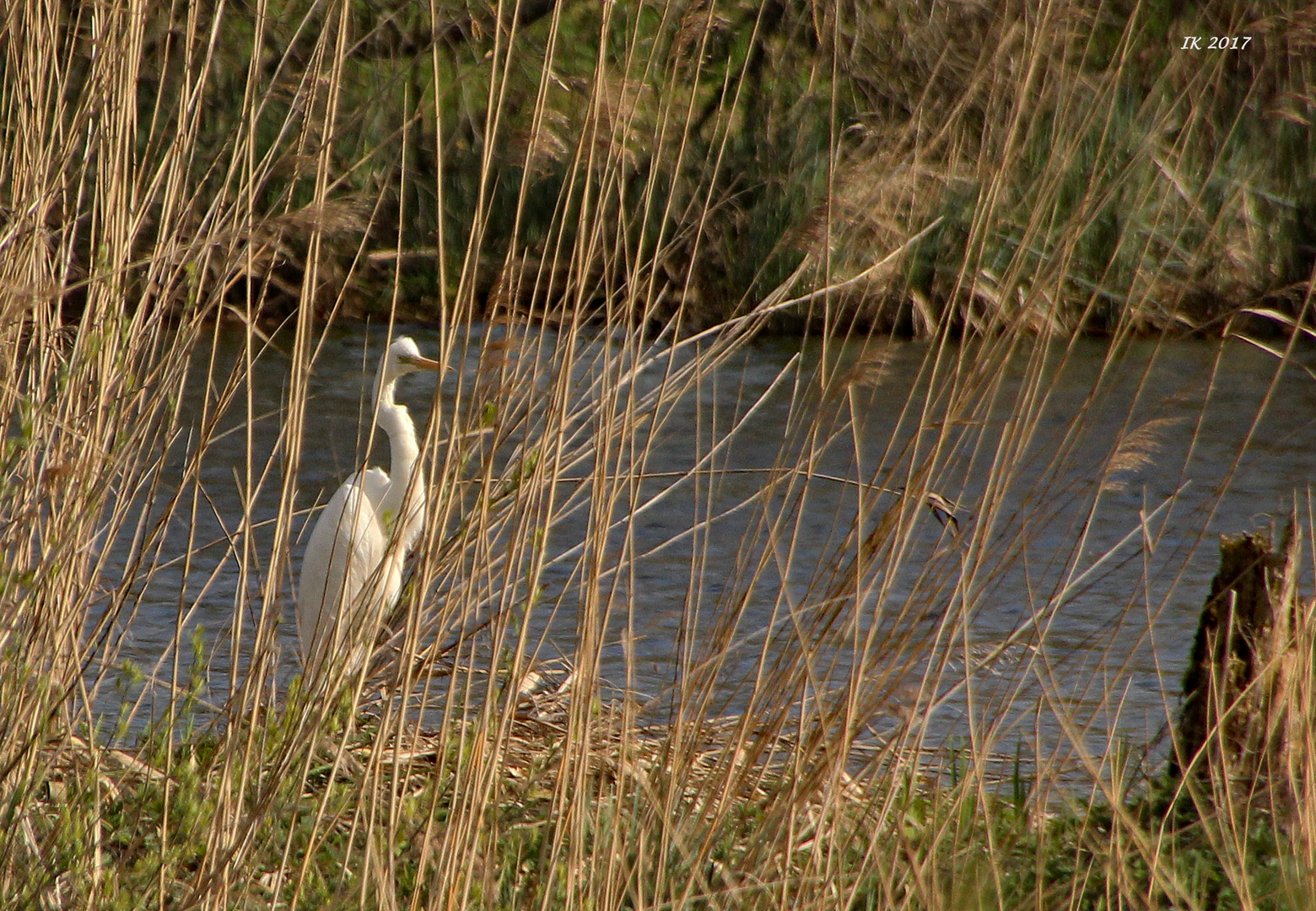 gut versteckt.....