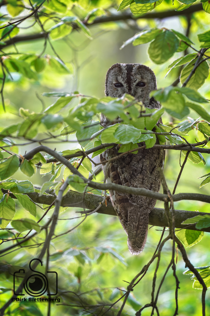 Gut versteckt und doch entdeckt