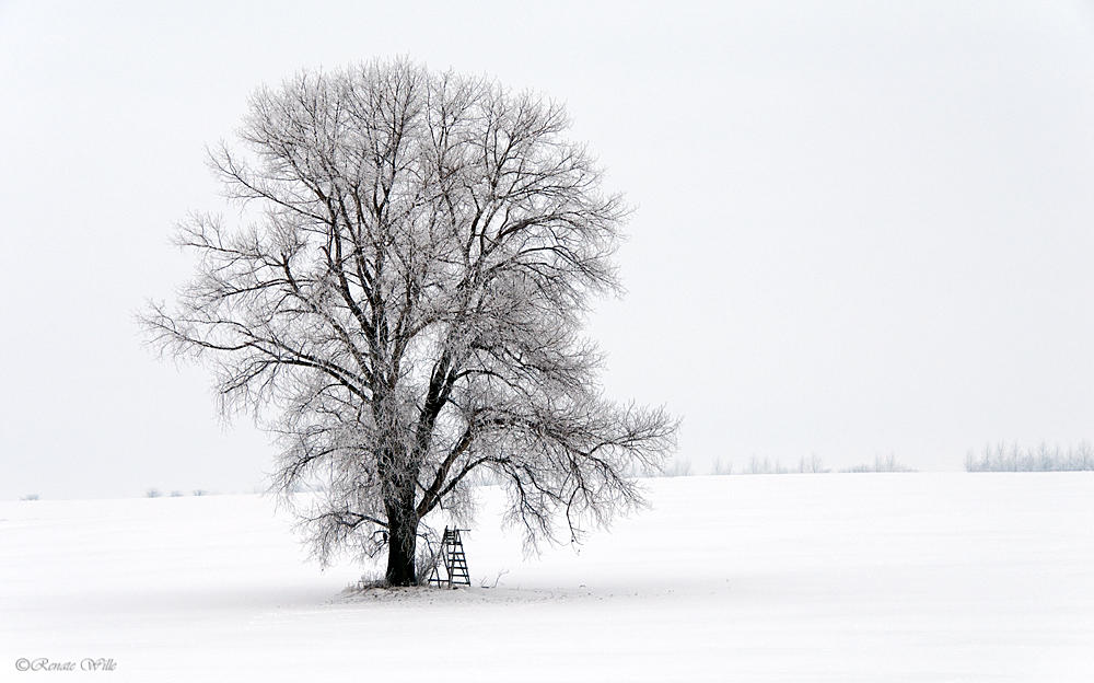 Gut versteckt und doch entdeckt