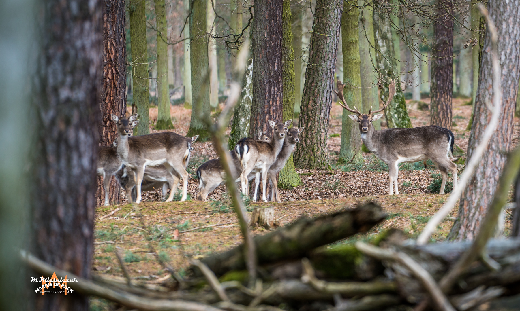 Gut versteckt und trotzdem sofort entdeckt 