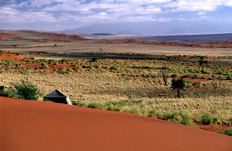 "Gut zurück aus Namibia"