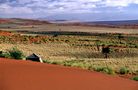 "Gut zurück aus Namibia" de Markus A. Bissig