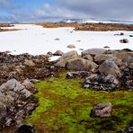 Gut zurück von der Island Trekkingtour Hornstrandir 2010 -Einleitung Reisebericht-