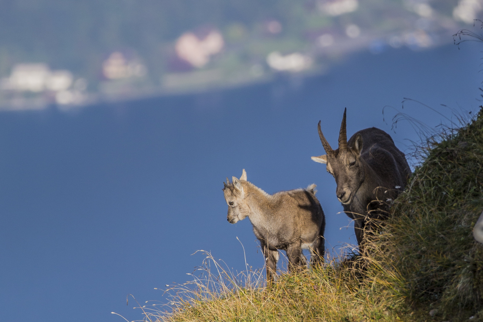 Gute Aussicht!