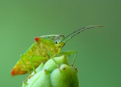 gute Aussichten!