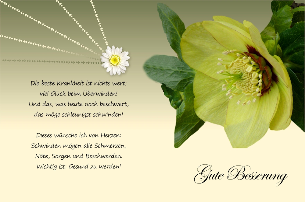 Wir Wünschen Dir Gute Besserung Wir Wünschen Dir Gute Besserung