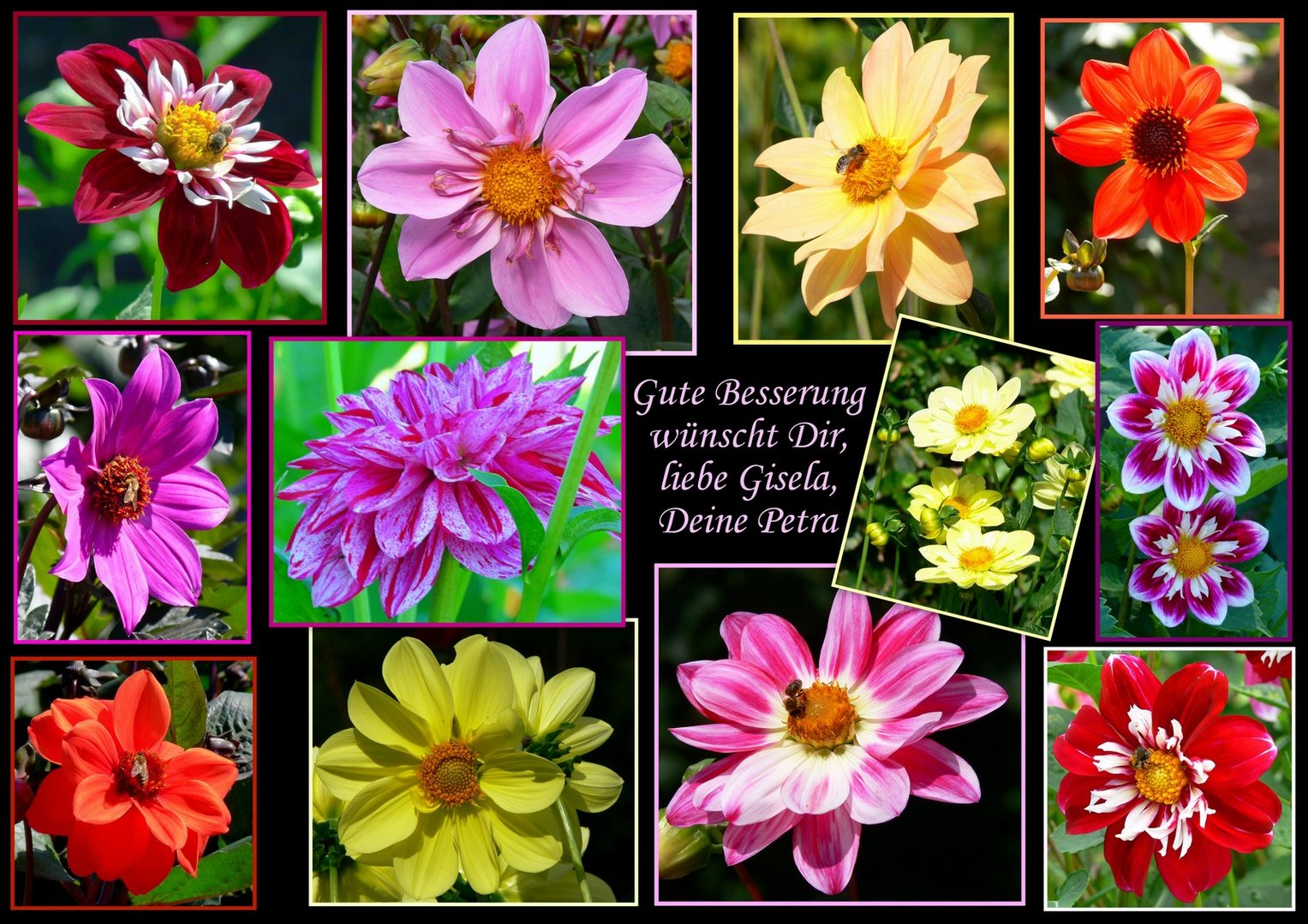 Gute Besserung Liebe Gisela Foto Bild Karten Und Kalender Gute Besserung Blumen Bilder Auf Fotocommunity