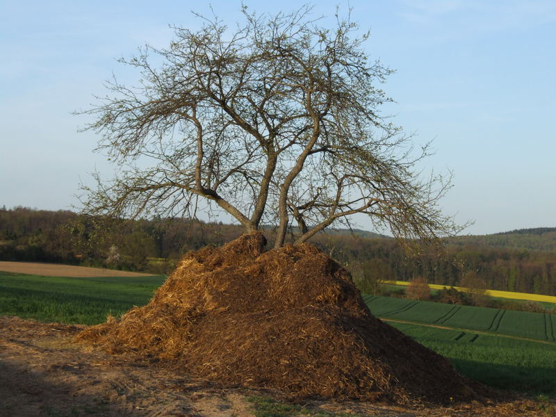 Gute Düngung.....