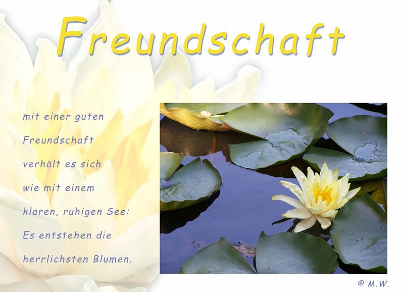 gute Freunde.......