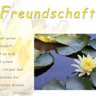 gute Freunde.......