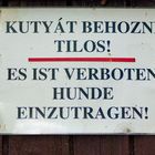 Gute Idee