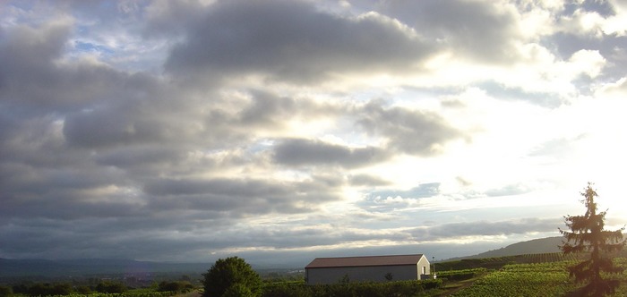 ...gute Laune, schlechte Laune...