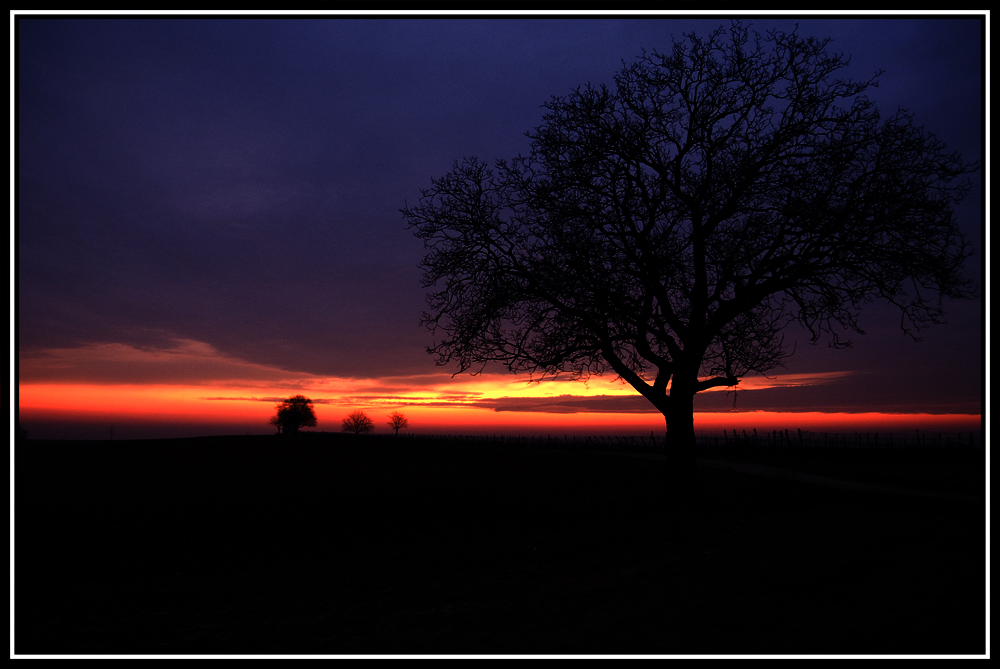 *gute Nacht*