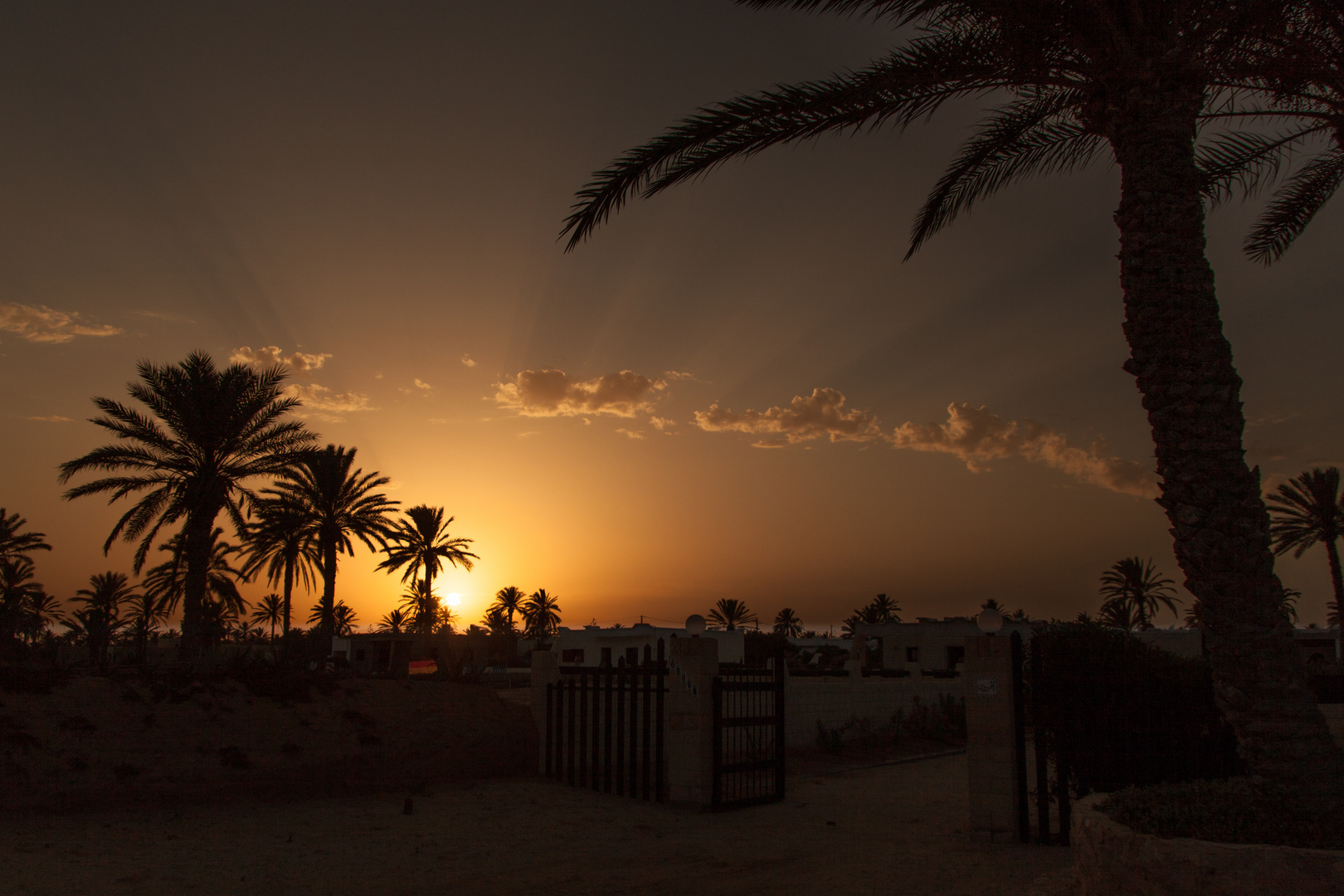 Gute Nacht Djerba