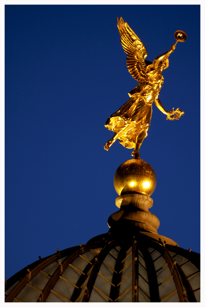 Gute Nacht Dresden