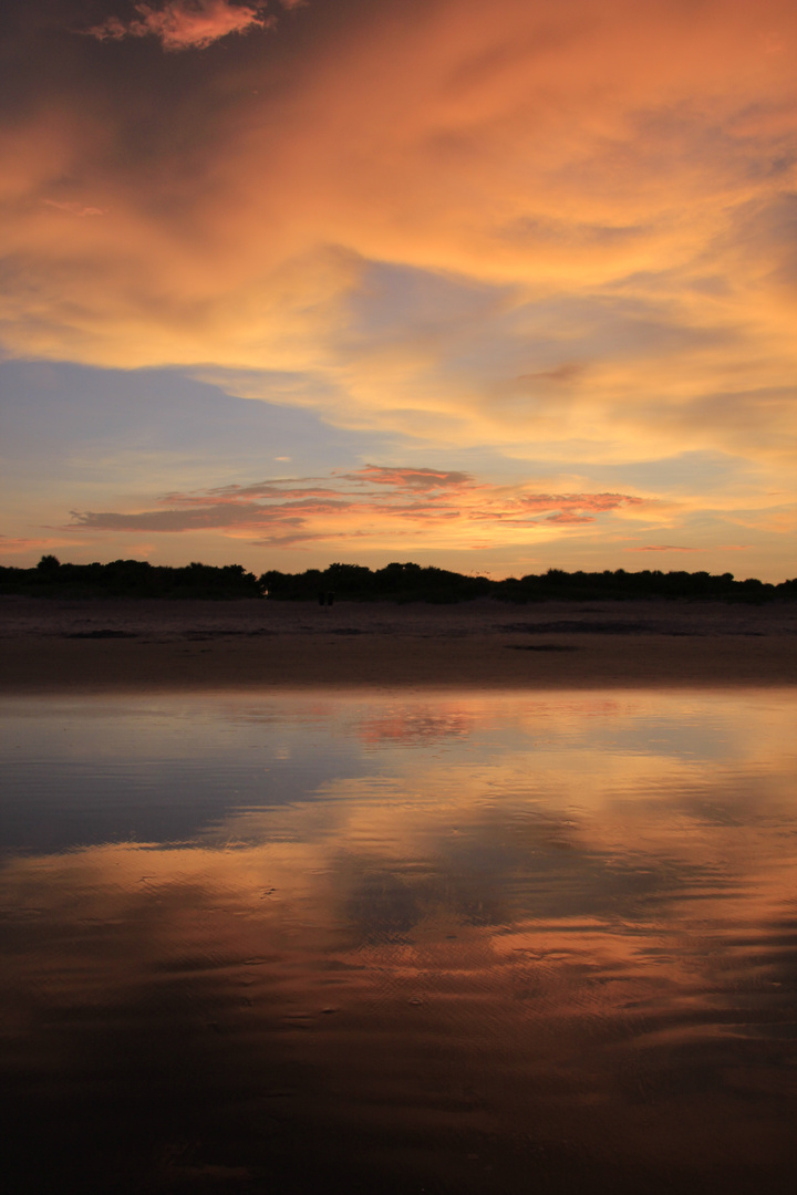 Gute Nacht Florida