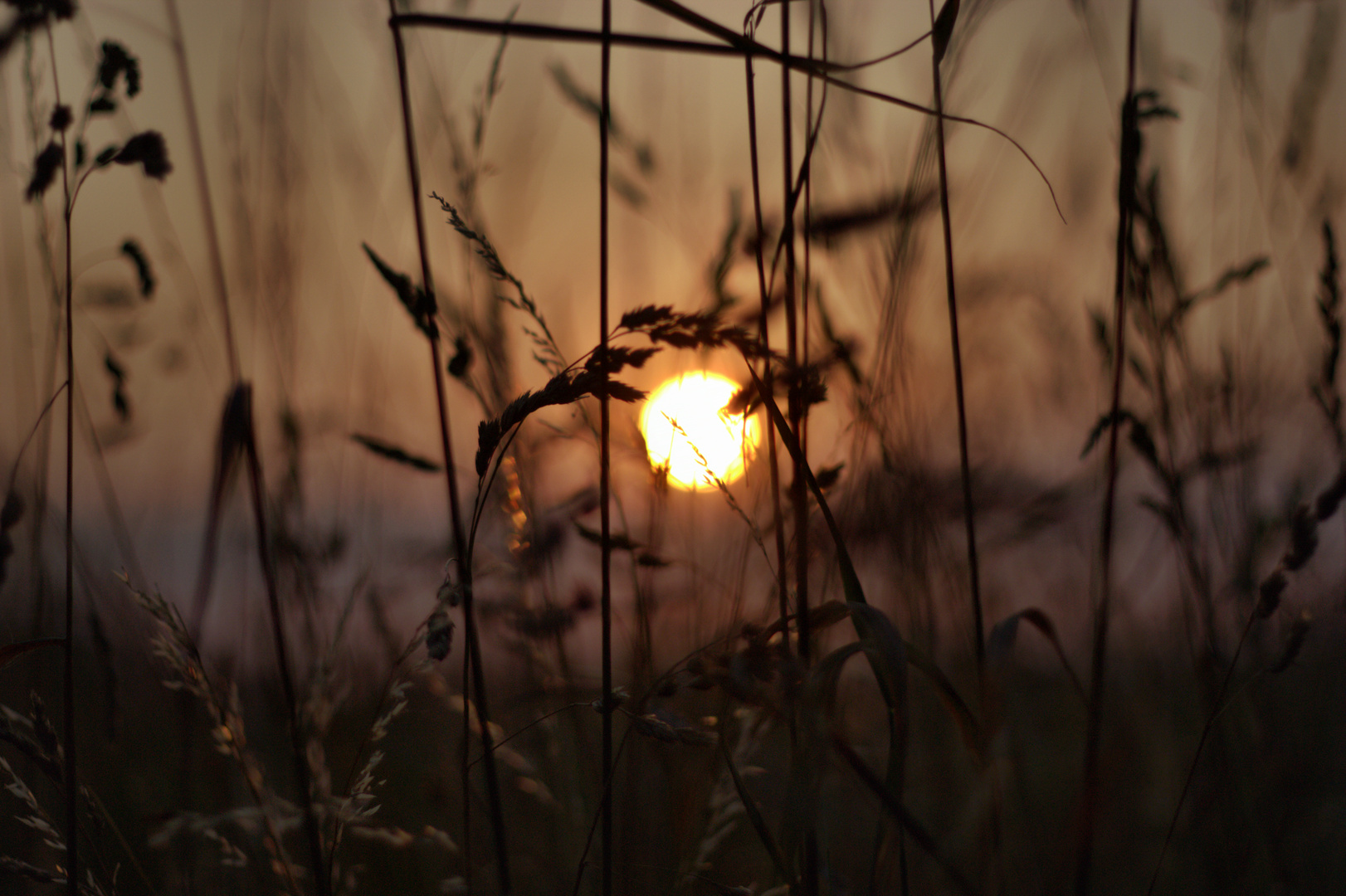 Gute Nacht Fotofreunde