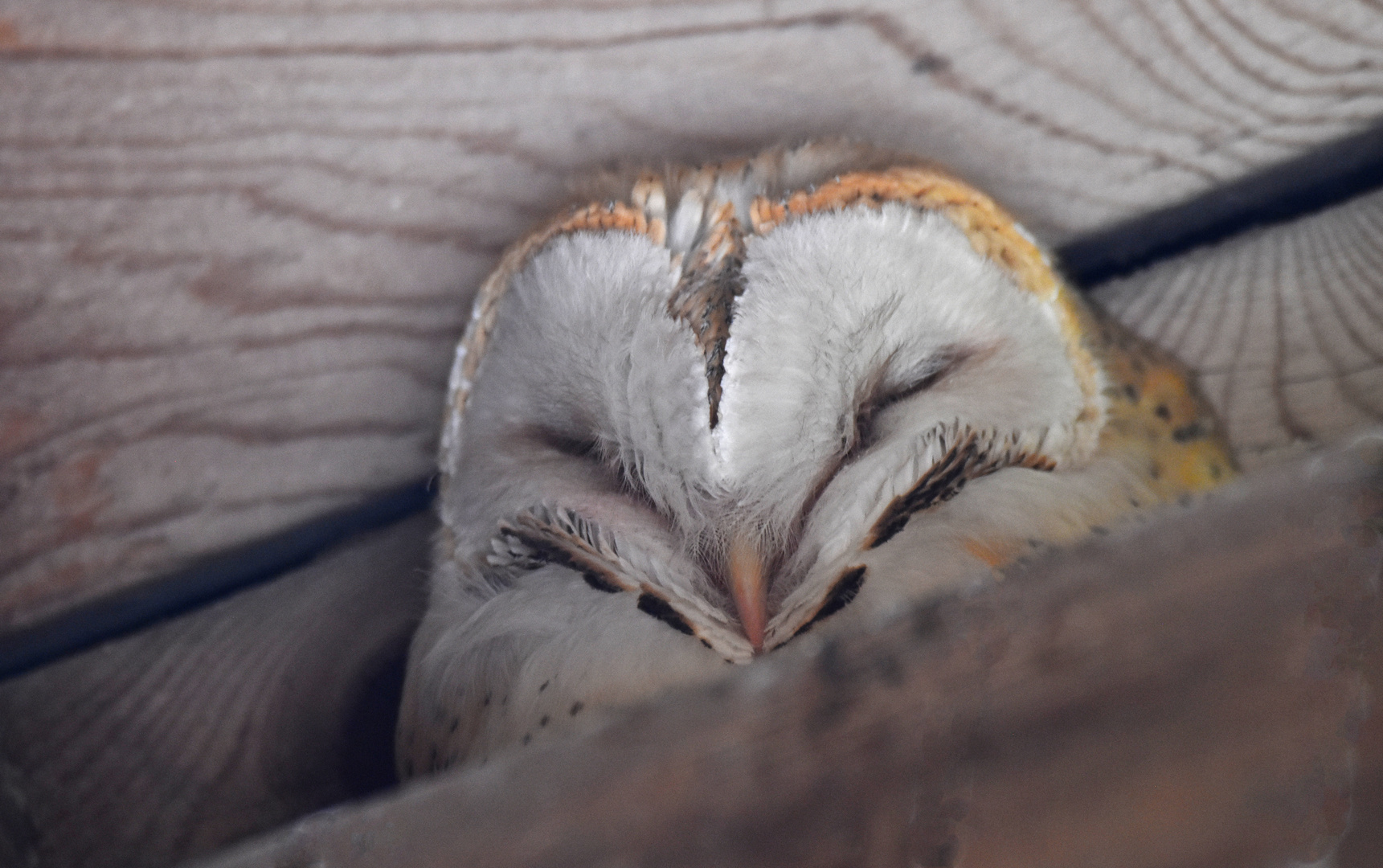 Gute Nacht, ...... guten Tag!