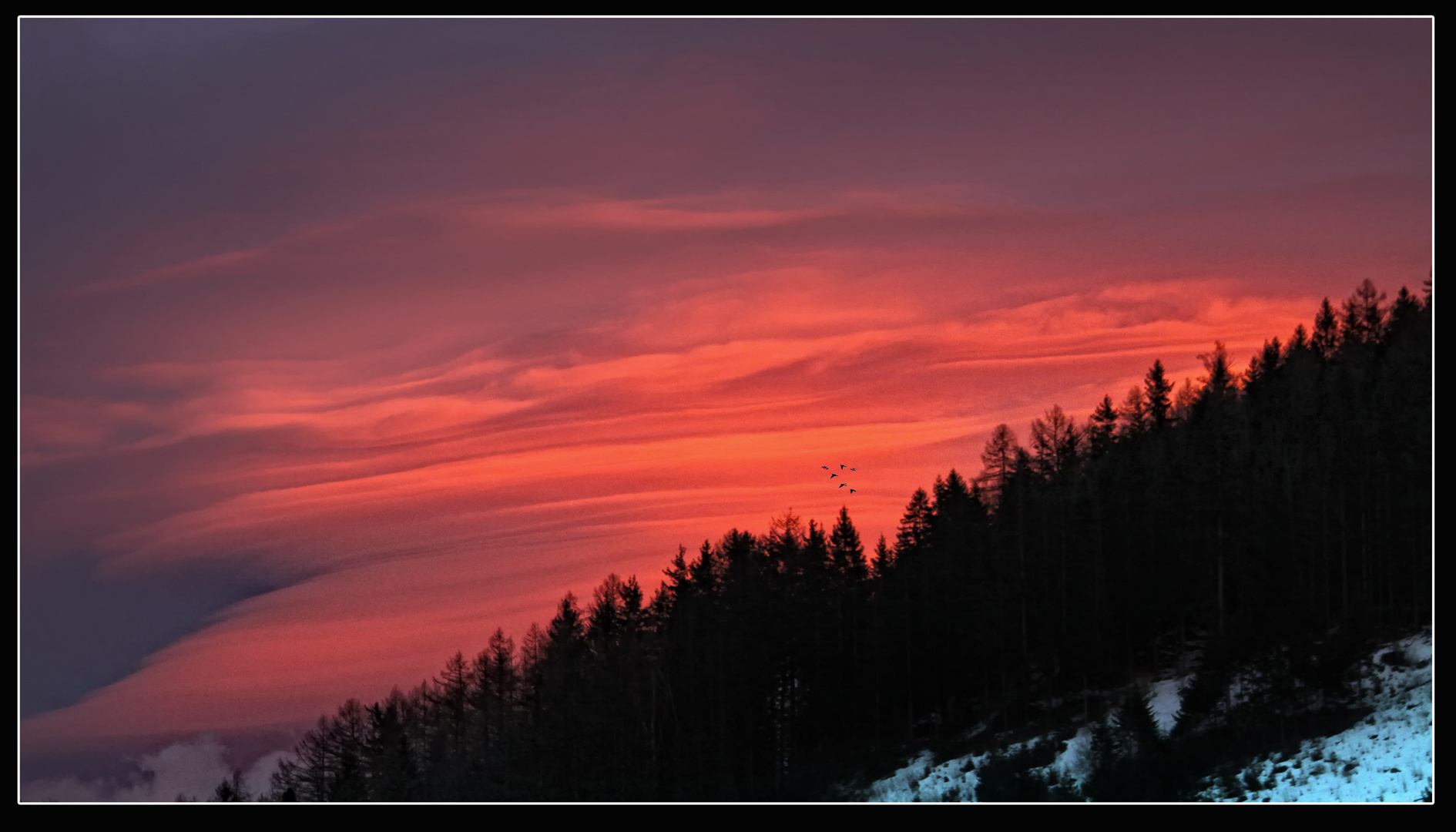 Gute Nacht, ihr Krähen