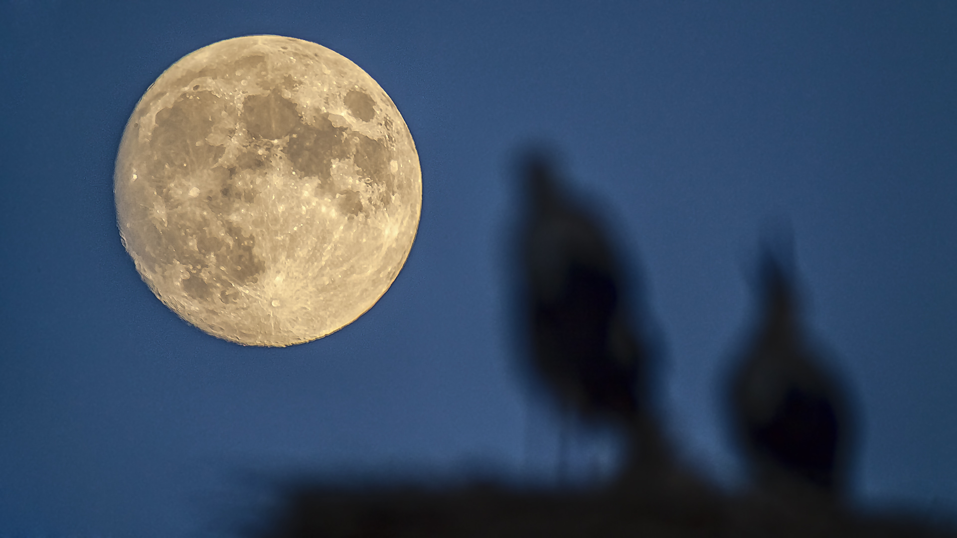 Gute Nacht in STORCHHAUSEN!