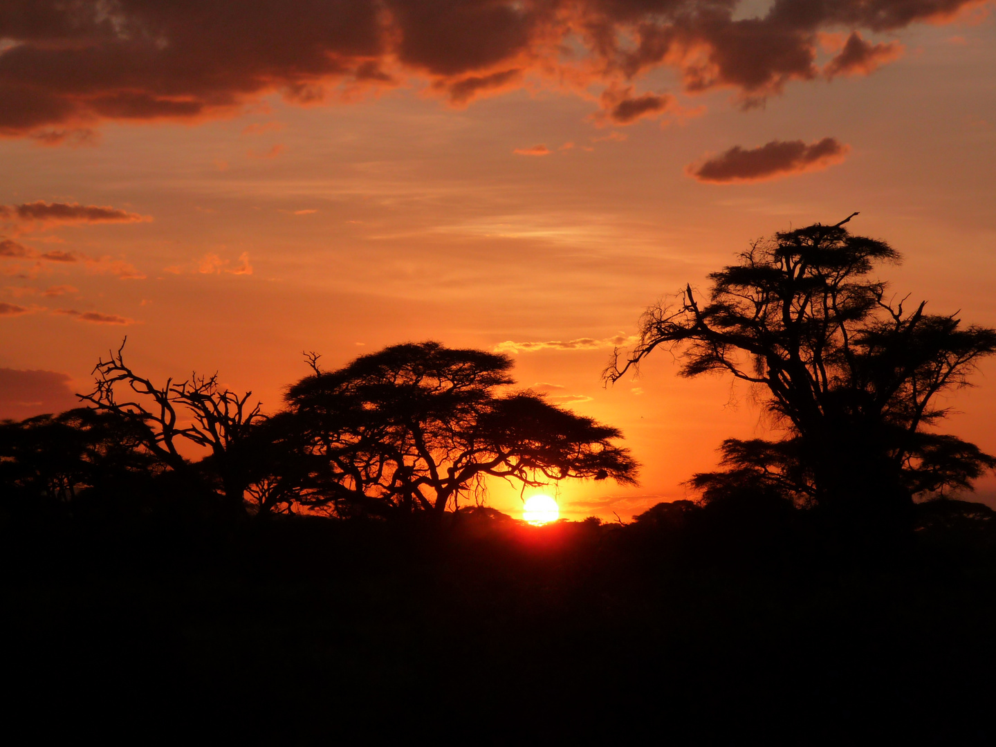 Gute Nacht Kenia