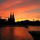 Gute Nacht Köln